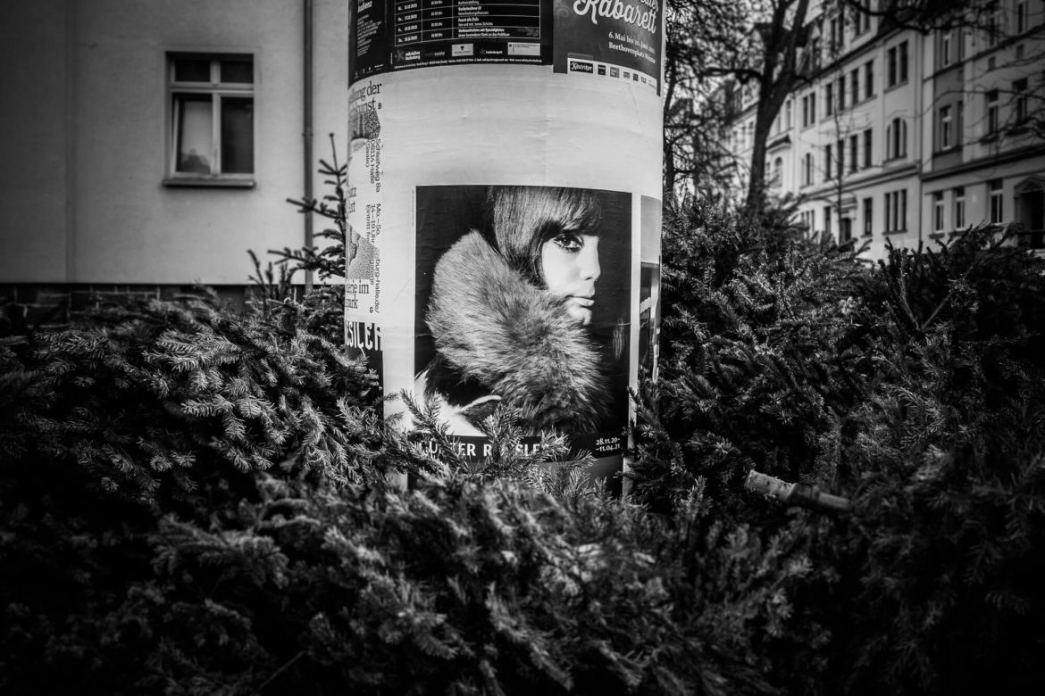 Litfaßsäule mit Plakaten und Tannenbäumen